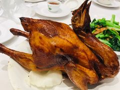 -稻香酒家·33年老字号·港式粤菜(富邦中心店)