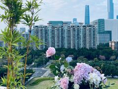 -小茶闲舍·观景商务茶馆(广州塔店)