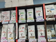 -瑞派·关忠动物医院·异宠专科·犬猫肿瘤·皮肤专科(望京店)