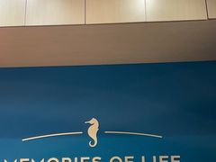 -海马体照相馆(北京合生麒麟新天地店)