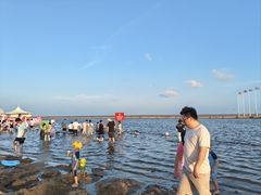 -碧海金沙