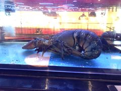 -Burger & Lobster(Dean Street)