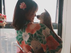 -柴犬小屋·柴餐厅·狗咖食堂(金鼎广场店)