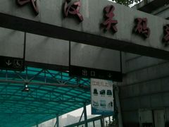 -武汉关码头(轮渡站)