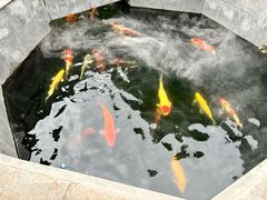 -西安市广仁寺