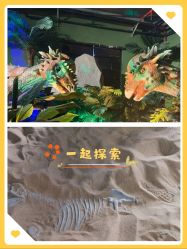 -恐龙探索乐园(磁器口店)