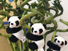 -茶百道(良乡大学城店)
