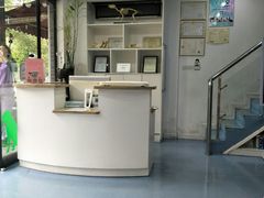 -伟伟宠物医院·CT影像中心·瑞派犬猫综合性门诊(汉口总院)