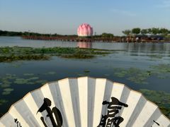 -白洋淀风景区
