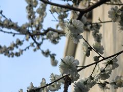 -龙湖星悦荟(颐和店)