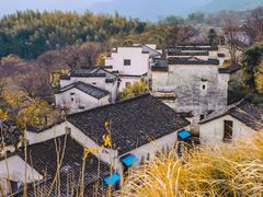 -塔川景区