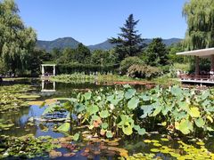 -国家植物园南园