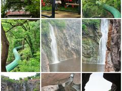 -上海辰山植物园