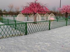 -绿野森林乐园冰雪季