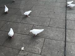 -南昌动物园