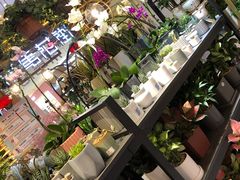 -茶马花街(城西银泰城店)