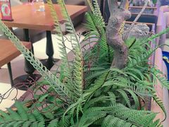 -老板恋上鱼(恒隆广场店)