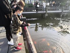 -西湖外事游船(花港观鱼码头)