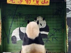 -广州长隆野生动物世界