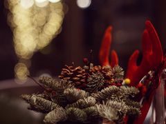 -杭州君悦酒店·青莳