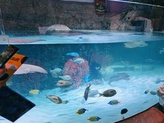 -沈阳海洋探索中心