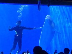 -多彩贵州城极地海洋世界