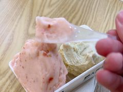 山楂冰淇淋-野人先生Gelato(上海长宁龙之梦店)