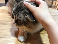 -白兔子密室(长寿路店)