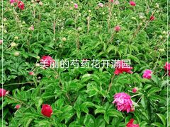 -长春公园(普阳街道)