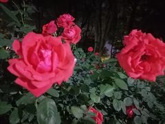 -人民公园(罗湖区)