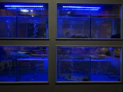 -小龍鳳·港式海鲜打边炉(沙湖路店)