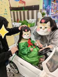 -爆米花儿童美发乐园