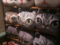 -猫咪博物馆(顶澳仔猫街店)