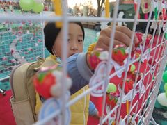 -爱彼格林珑悦幼儿园