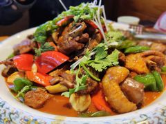 -潍城老菜馆·地标美食
