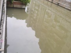 -荔湾湖公园