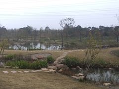 -上海长兴岛郊野公园