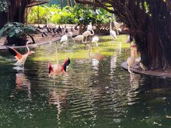 -九龙公园