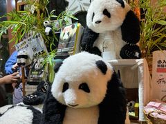 -轩客会(熊猫书店)