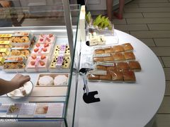 -蒲公英(五里店)