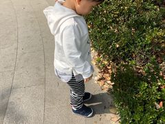 -嘉定紫藤园