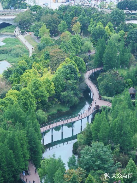古龙山大峡谷图片