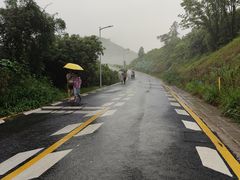 -黄埔油麻山森林公园