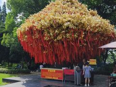 -狼山风景名胜区