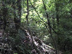 -昆明青龙峡风景区