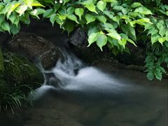 -安吉龙王山风景区