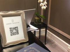 -Harry Winston 海瑞温斯顿
