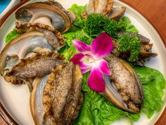 鲍鱼-金龙·打边炉(武进路店)