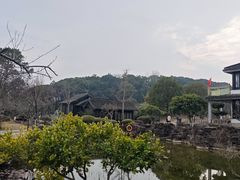 -灵岩山风景区