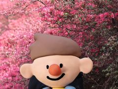 -木兰云雾山